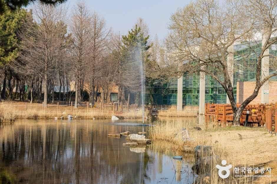 인천_인천환경공단 청라생태공원 (2).jpg