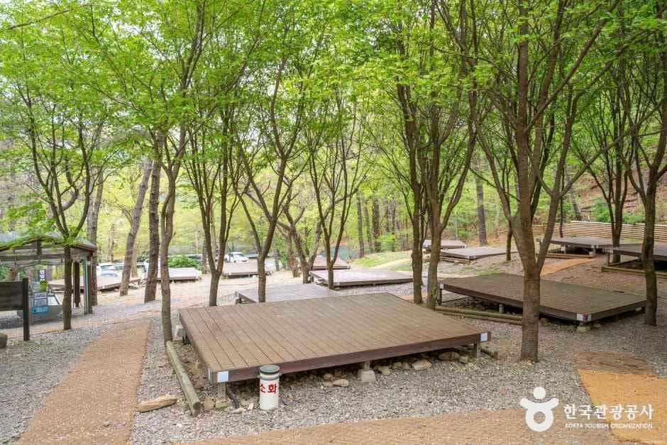 안양_병목안캠핑장 (5).jpg