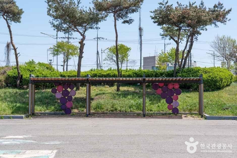 화성_궁평항광장 (5).jpg