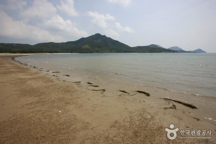 도초도 시목해수욕장_10