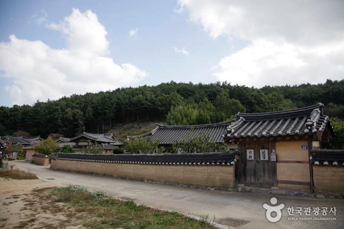 경북_영덕_괴시리전통마을03