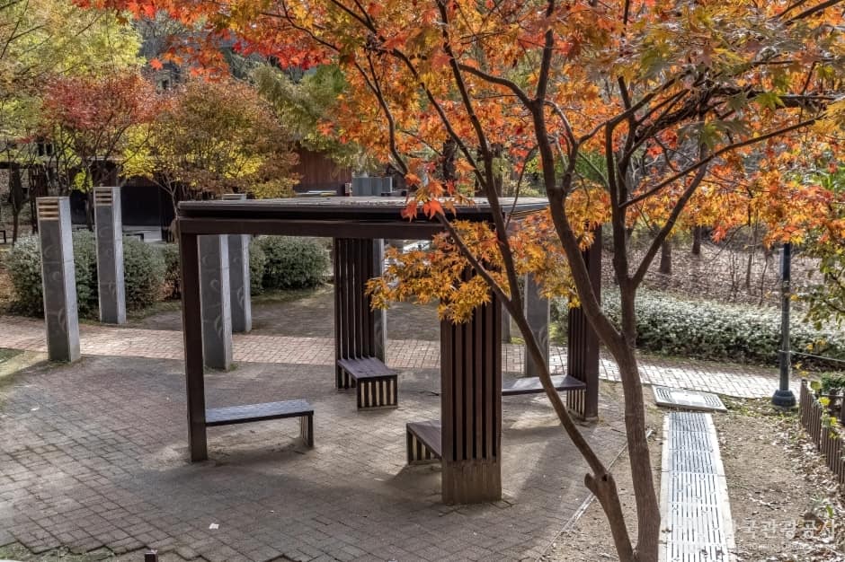 판교공원 (1)