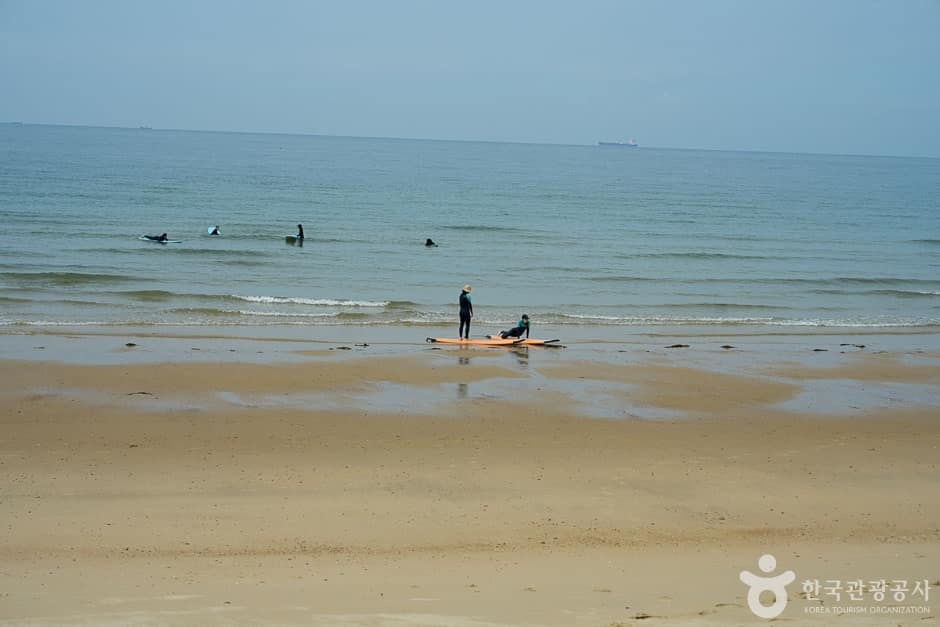 레인보우 서프 (10)