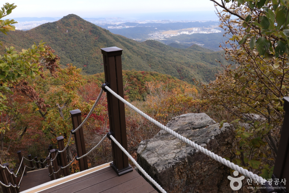 대운산 (4)