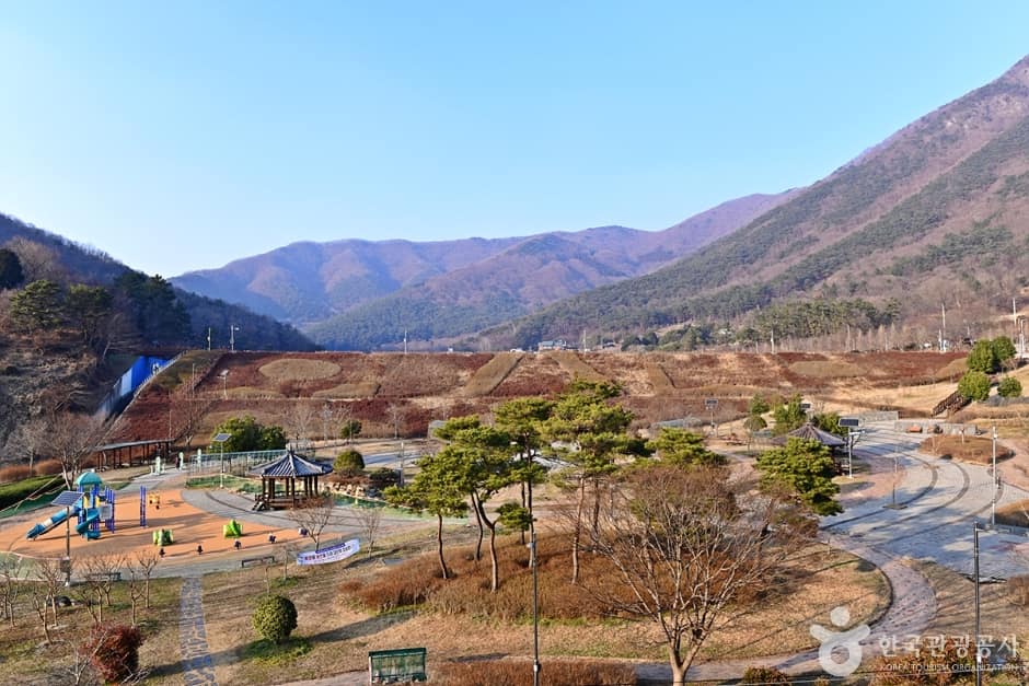전남_화순_화순 군립 최상준미술관 (15)