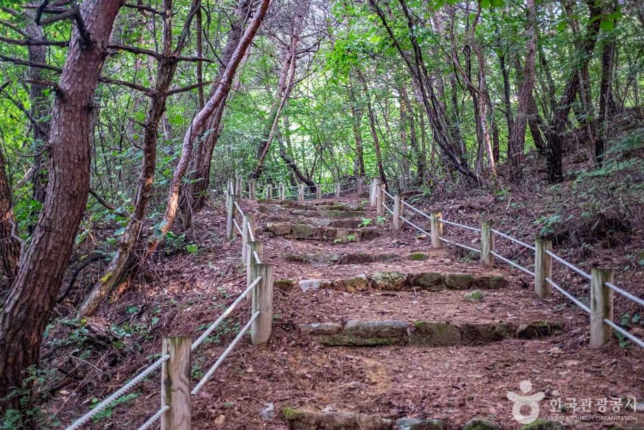 영주_영주 순흥 어숙묘 (1)