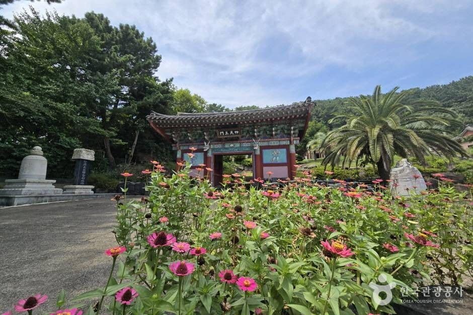 보림사(제주)_e (8)