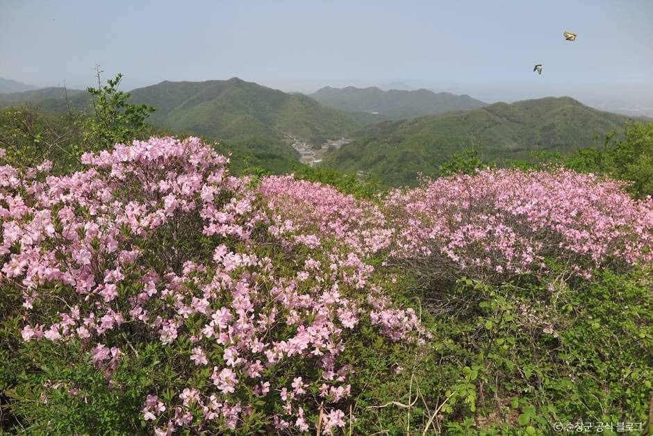 순창_국사봉(순창) (3)
