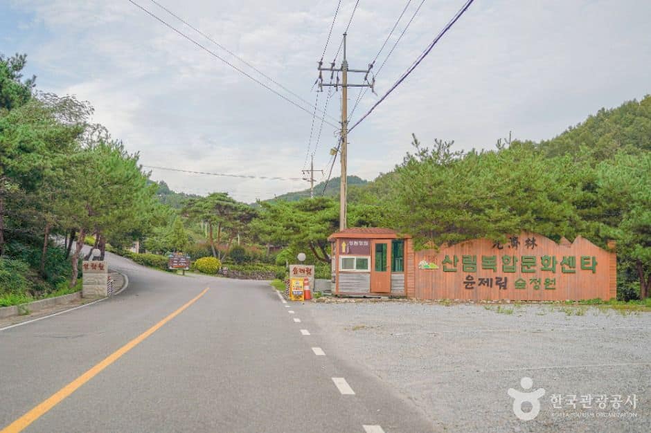 보성_숲정원 윤제림 (7)