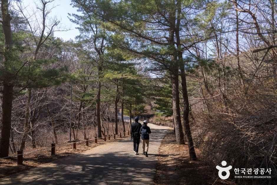 경기_안양_서울대학교 농업생명과학대학 안양수목원_내부_3.jpg