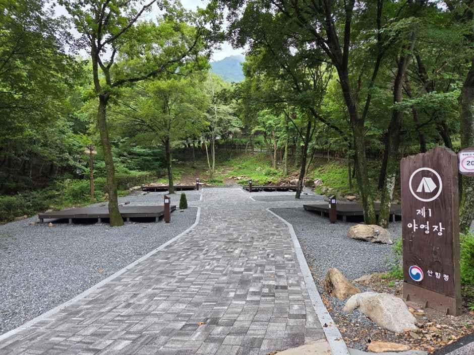 청도_국립운문산자연휴양림야영장 (6).jpg