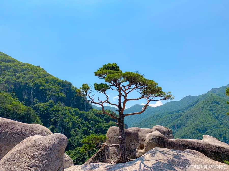 강원도_동해시_두타산협곡마천루_ 기암송