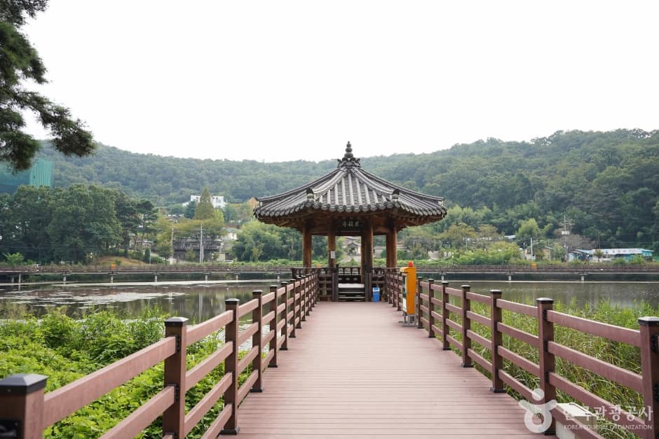 검성지생태공원 (9)
