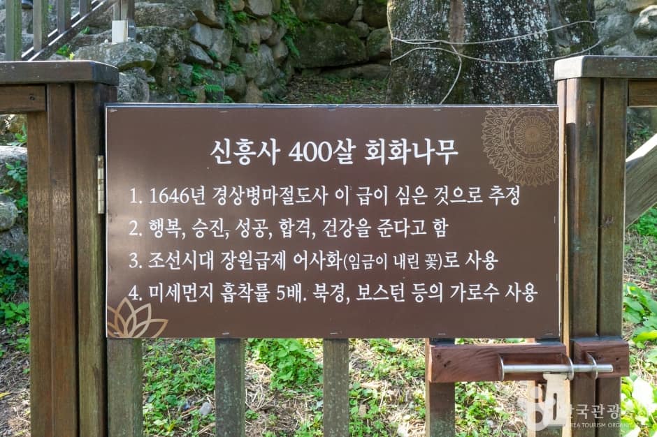 신흥사001