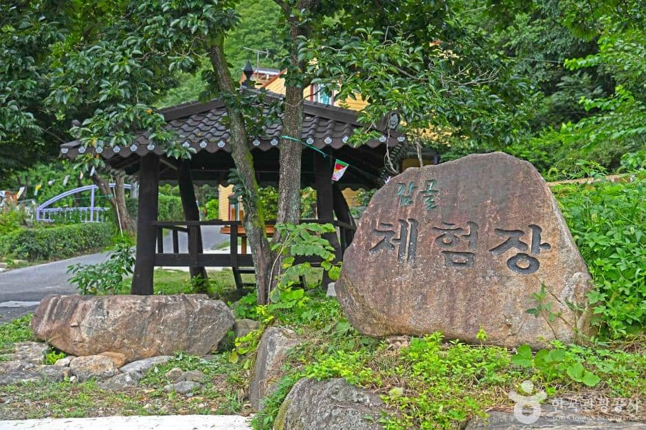 단양 감골 바람개비마을 (2)