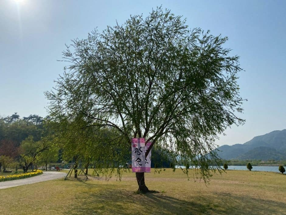 용당나루 매화공원 (2)