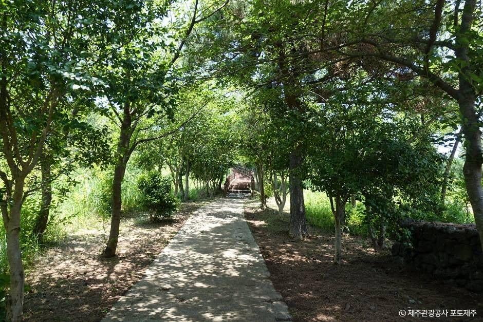 제주_도두봉 (1)