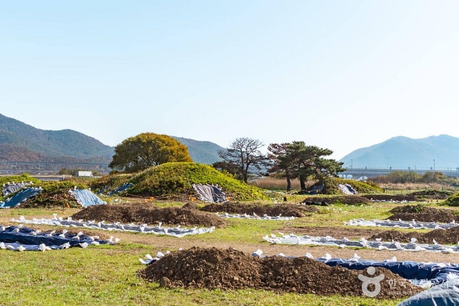 경주_경주 금척리 고분군 (4)