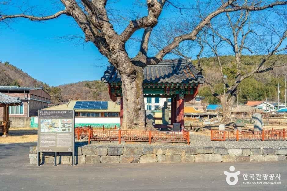 함안_함안 대산리 석조삼존상 (1).jpg