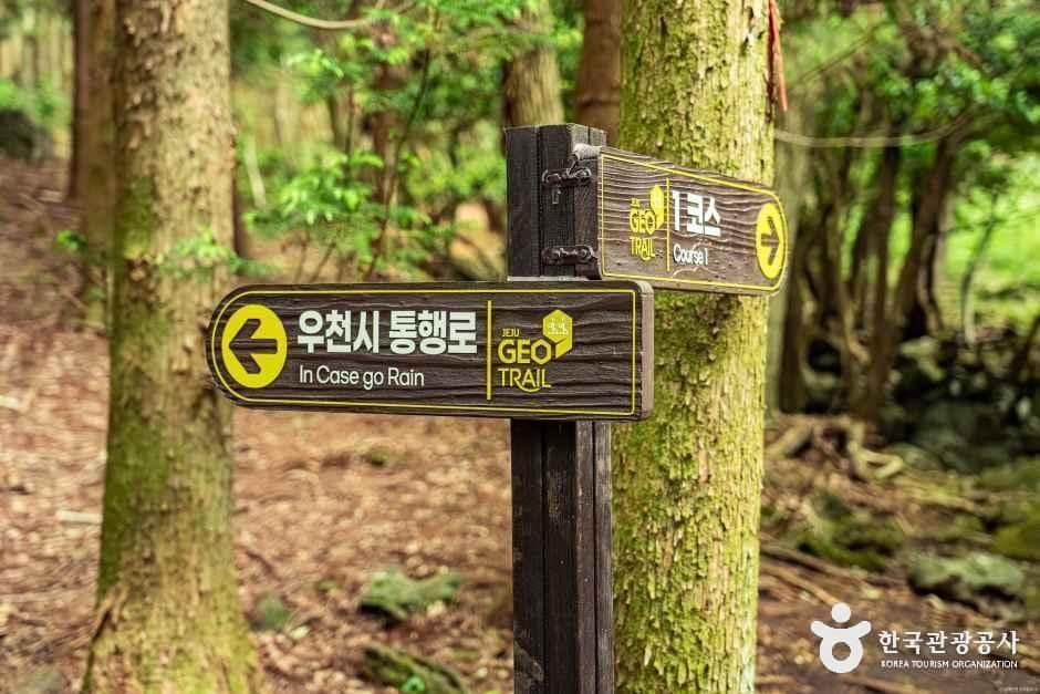 제주_삼다수숲길 (5).jpg