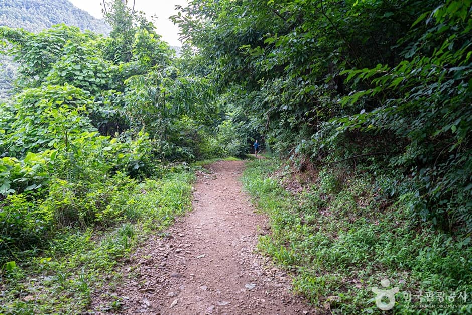 무봉산 (13)