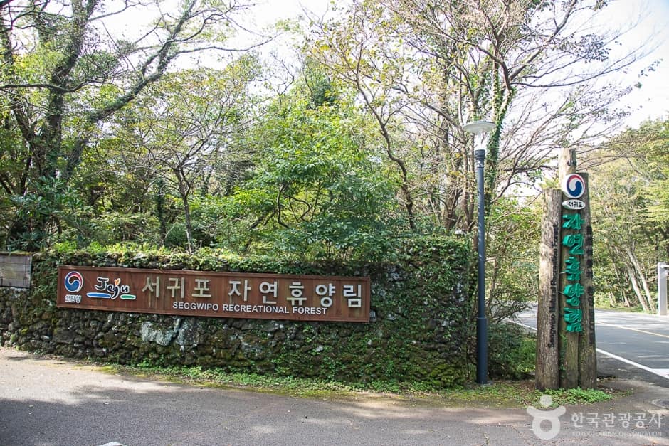 제주_서귀포_서귀포자연휴양림(22)