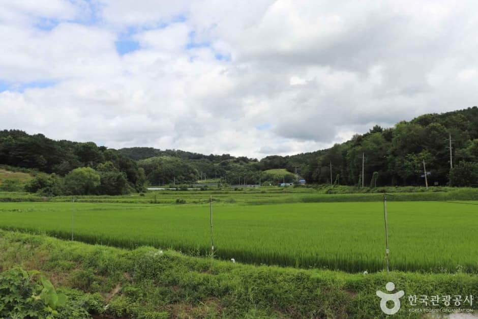 부여 신암친환경마을 (10)_e