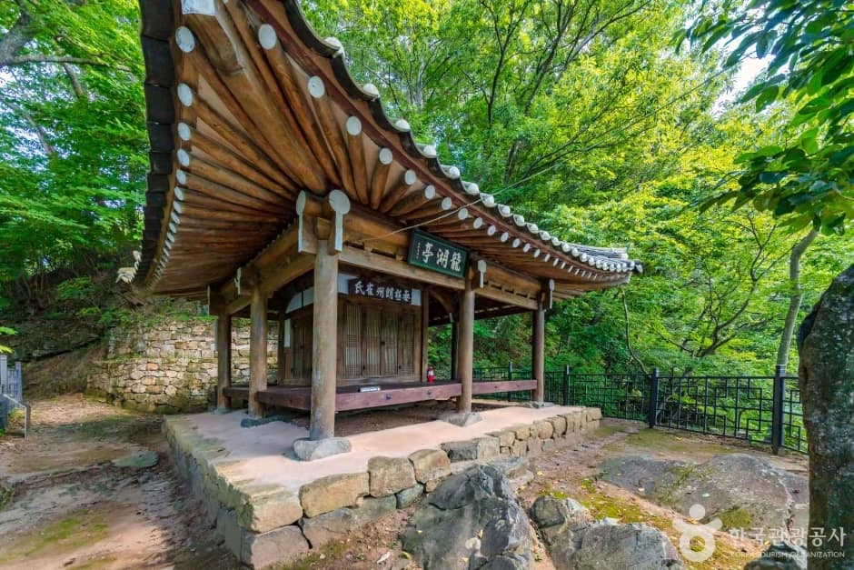 용호정원림 (1)