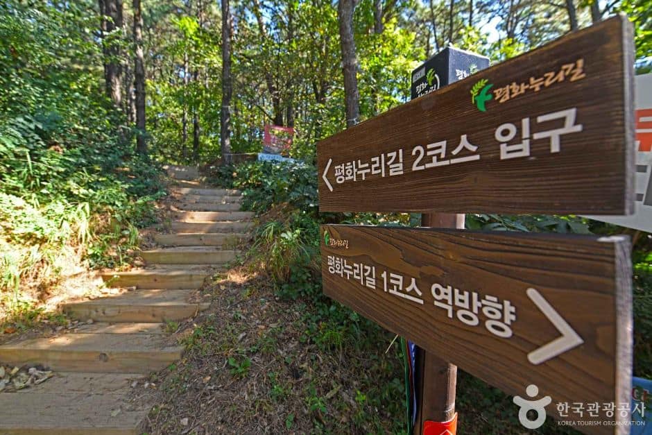 김포_평화누리길 2코스 조강철책길 (2)