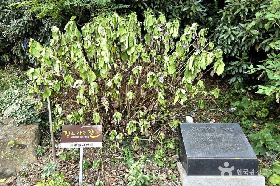 월영사(제주)_e (2)