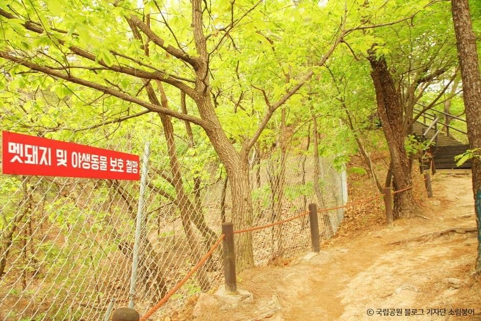 서울_[북한산 둘레길 7구간] 옛성길 (2)