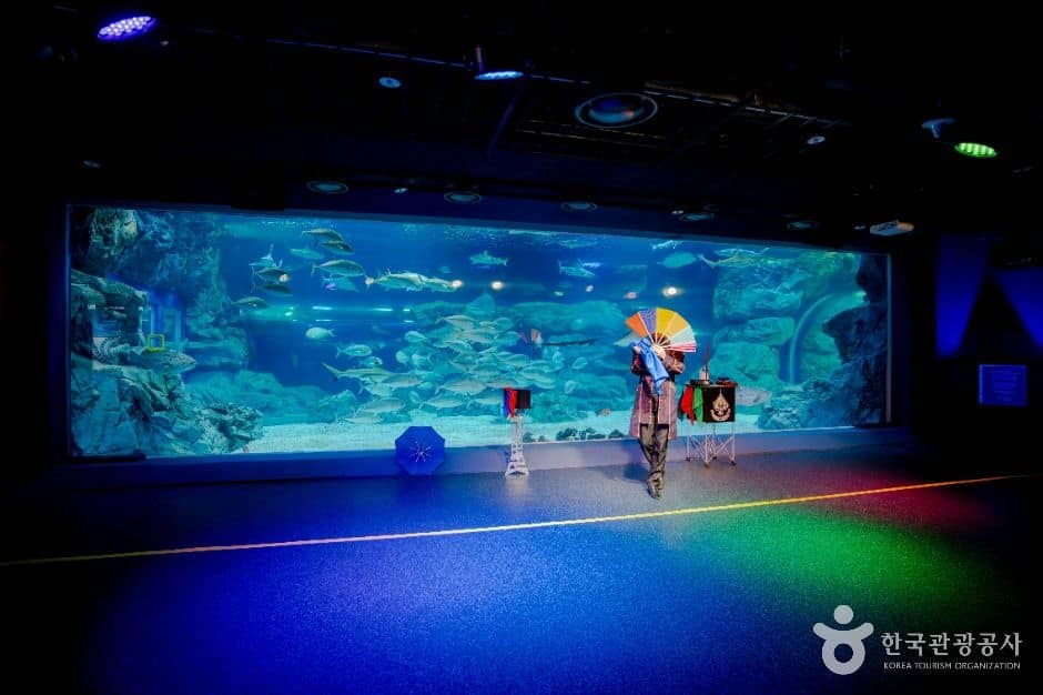 수원_아쿠아플라넷 광교 (6)