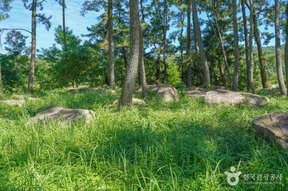 장흥_장흥 방촌리 지석묘군 (2)
