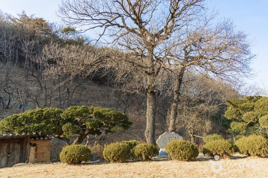 포항_포항 분옥정 (7)