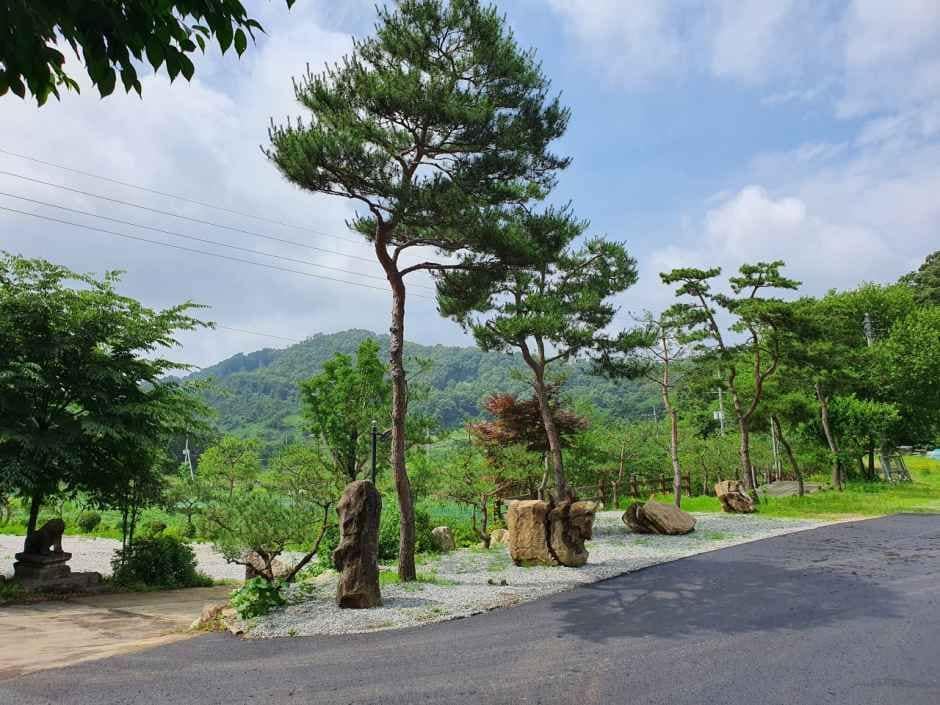 연천_아미캠핑장 (2).jpg