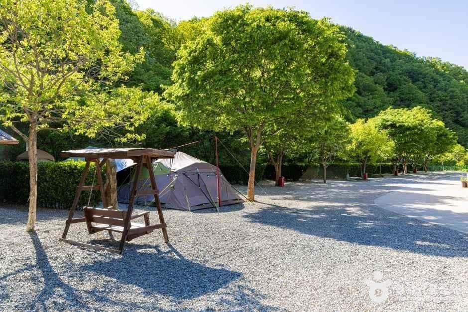 영동_별밤펜션 캠핑장 (5).jpg