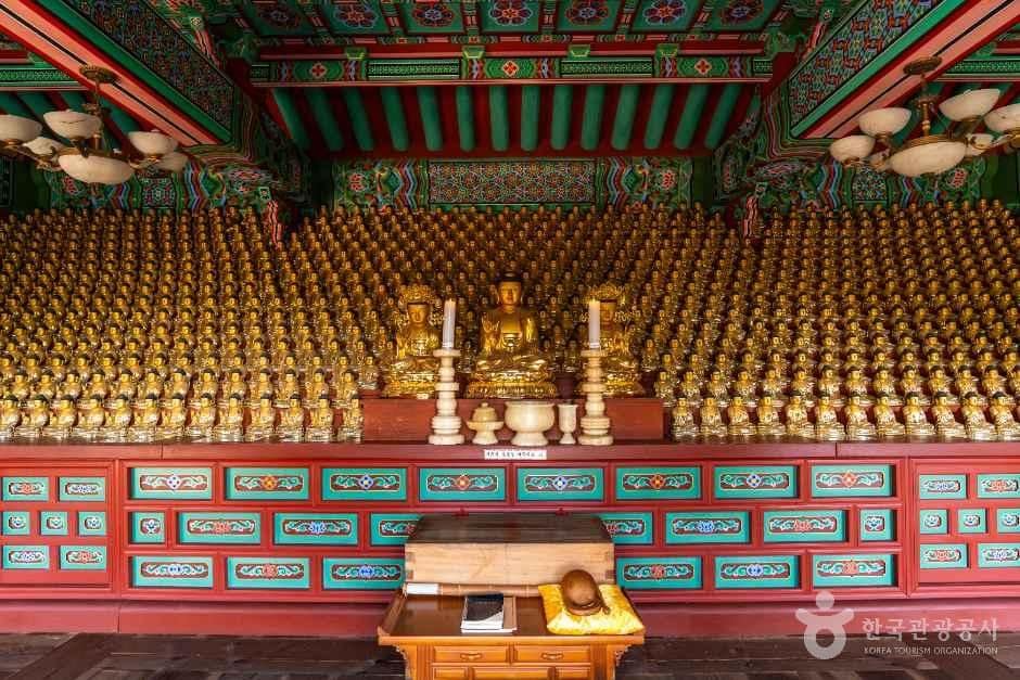 전남광주_강진_백련사_내부_1.jpg