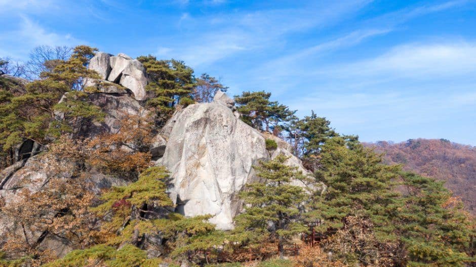 원주__미륵산(원주) (1).jpg