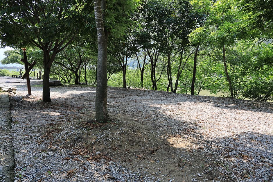 외룡송어회캠핑장_사이트