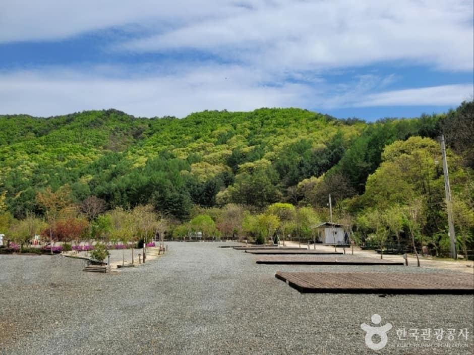 풀무산캠핑장 (7)