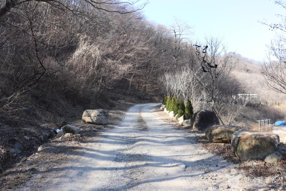 경주 왕의 길 (10)