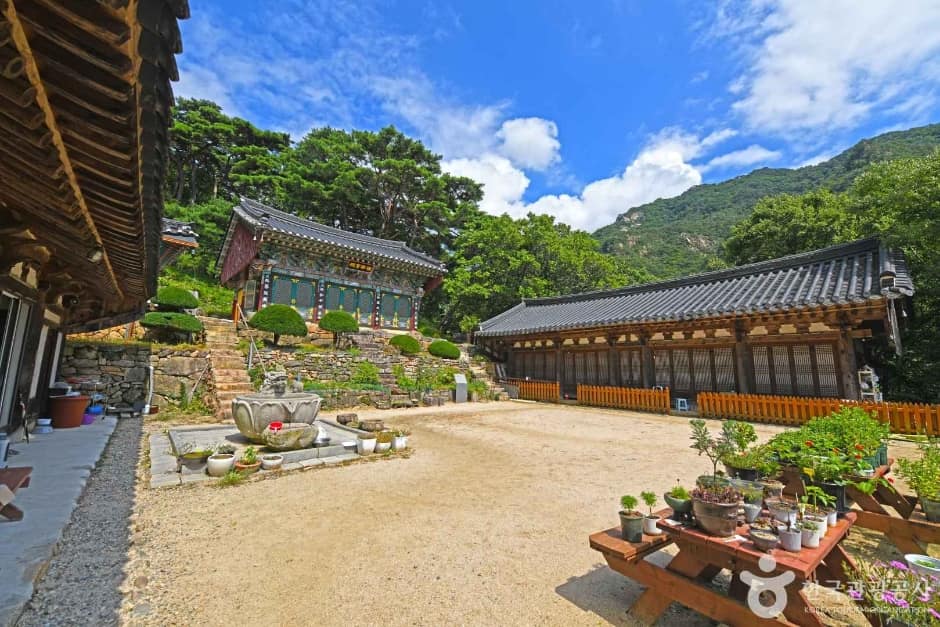 무암사 (7)
