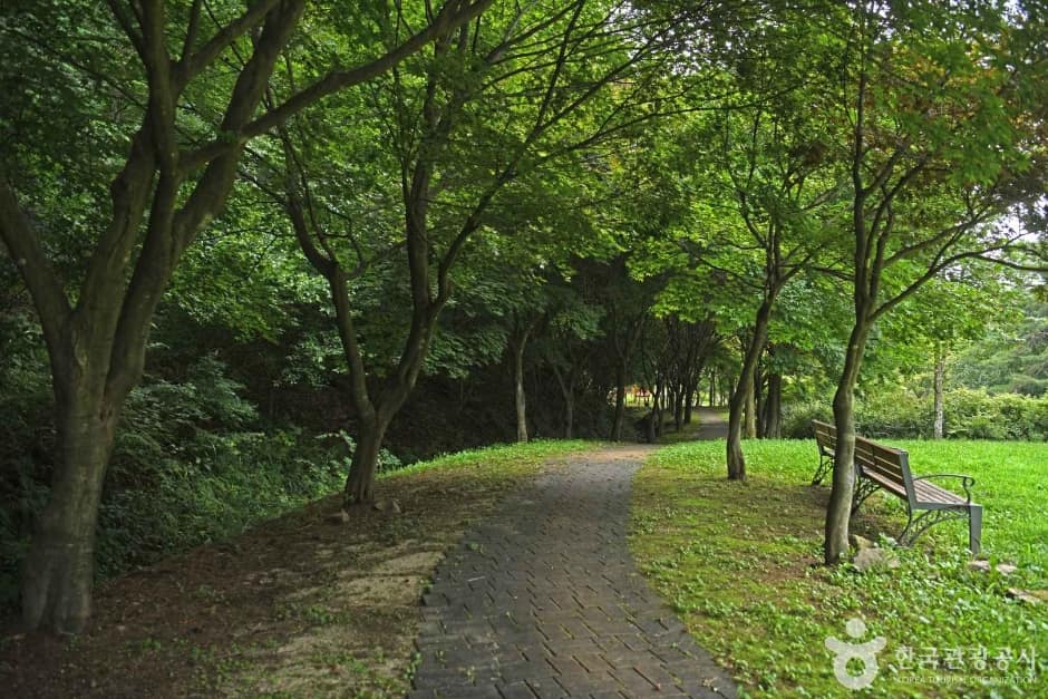 용두산 산림욕장 (7)