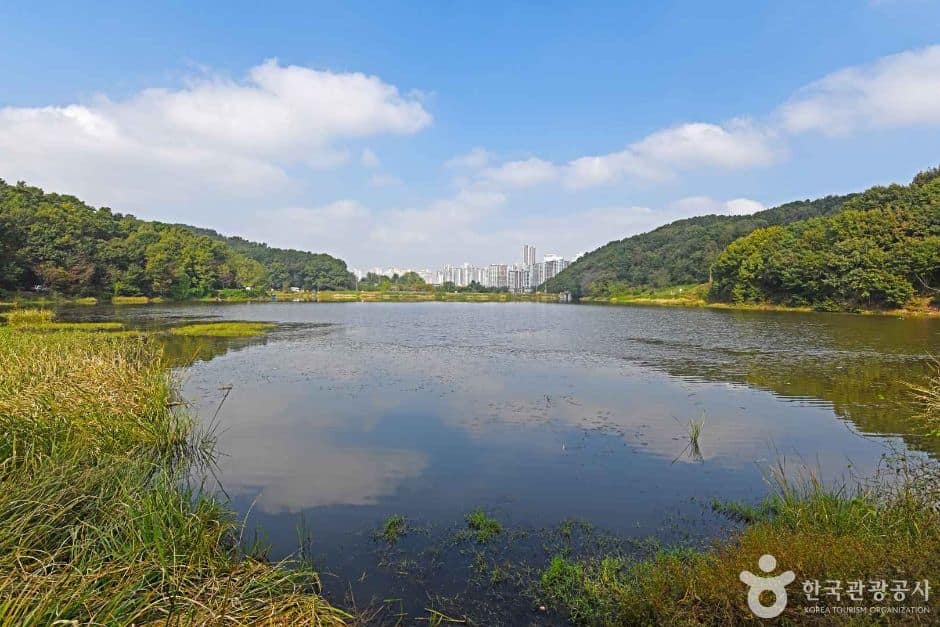 화성_장지리저수지 (6)