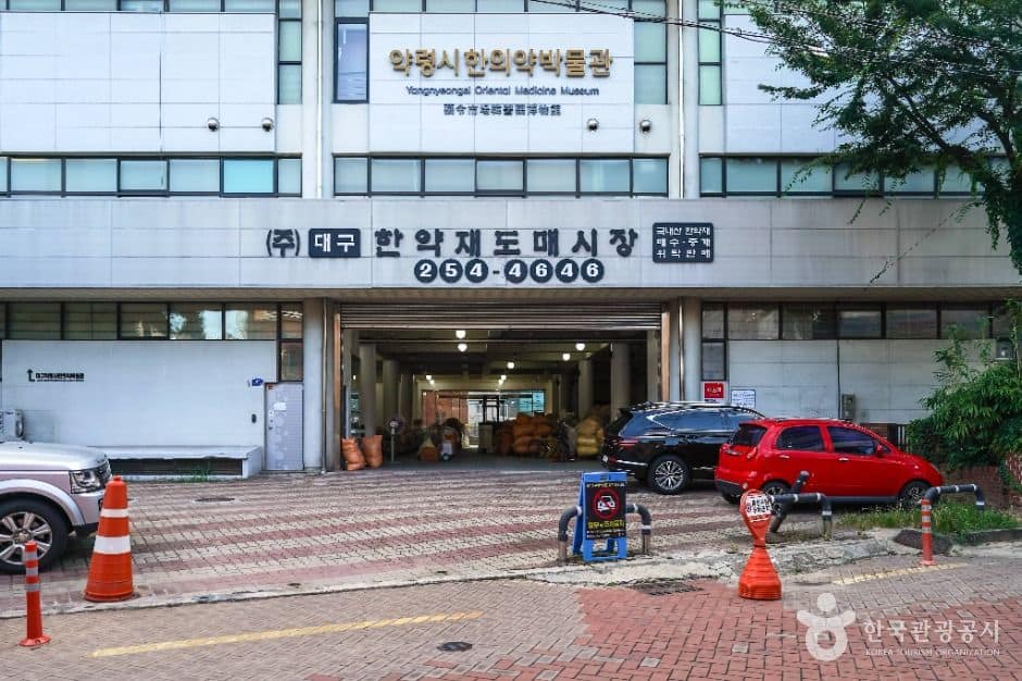 대구_대구 약령시 한의약박물관 (1)