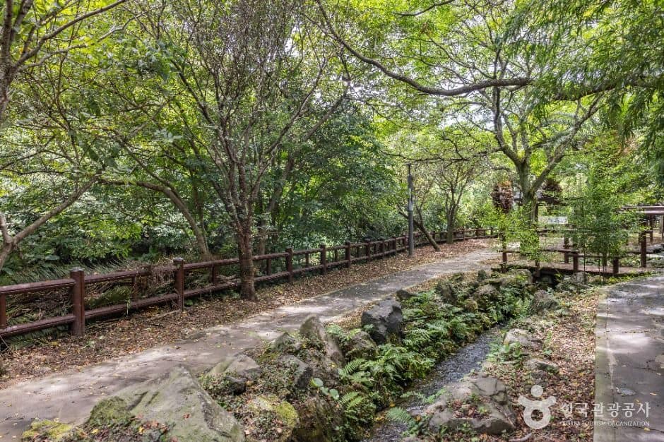 제주_정모시쉼터 (2)
