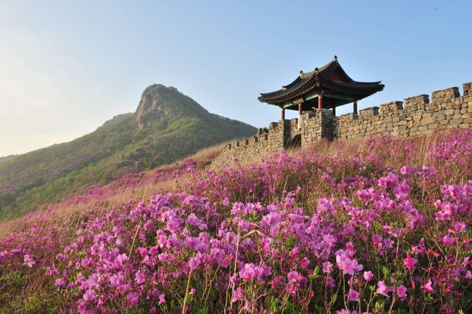 산청_황매산(산청) (1)