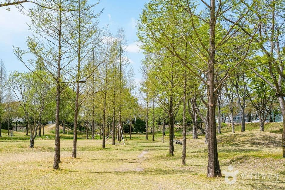 경주_신라왕경숲 (2)