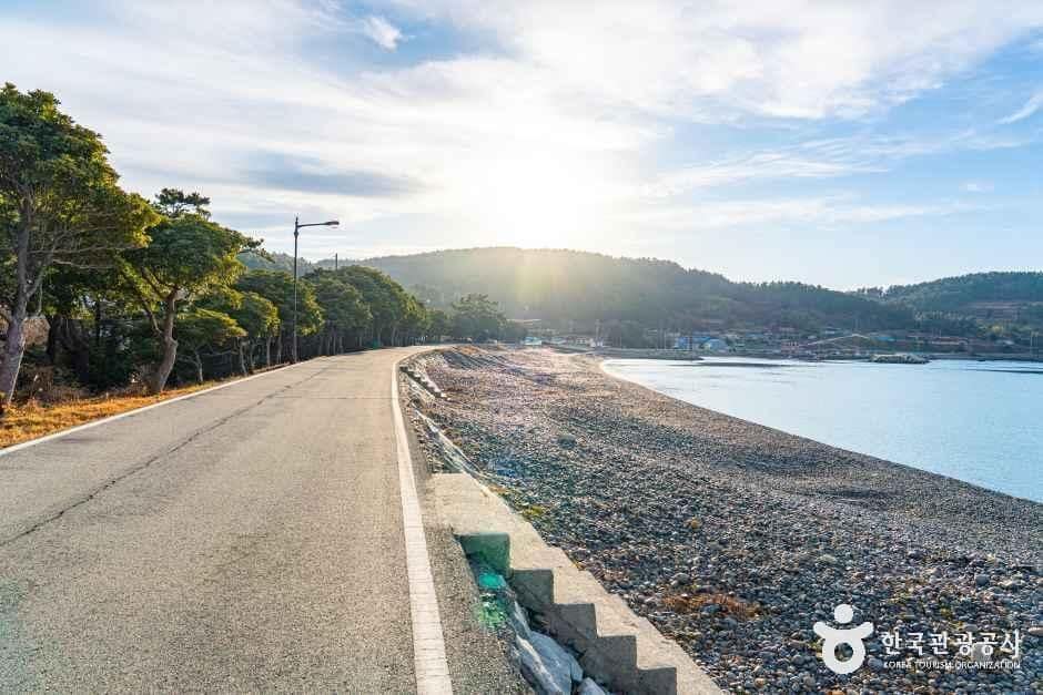 완도_진산리해수욕장 (4).jpg