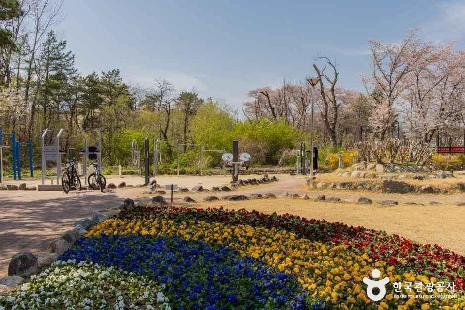 속초_영랑호 설화공원 (5).jpg
